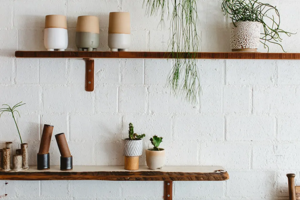 Small pots and a cutting on a wooden wall shelf